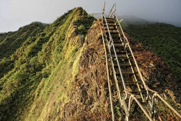 Tuyển tập Tuyển tập
