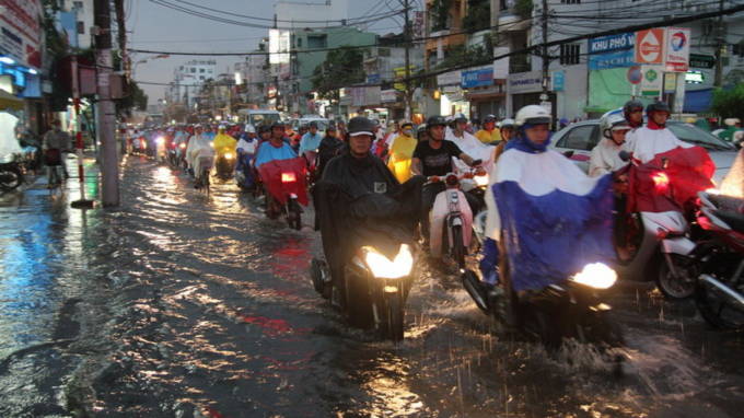 mưa lớn, cá trê, ngập lụt, câu rạch chiếc, xa lộ hà nội