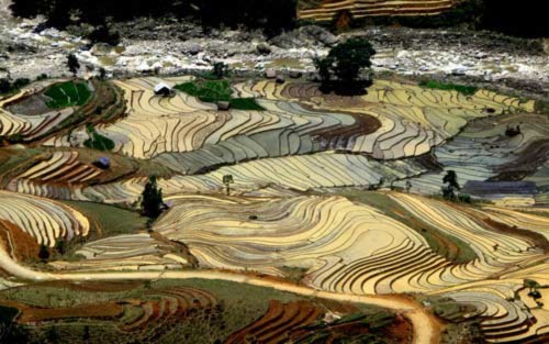 Tây Bắc mùa nước đổ, Du lịch, Tay bac, dia danh dep, du lich, du lich the gioi, canh dep, phong canh dep, anh thien nhien, anh phong canh, wallpaper, hinh anh dep, bao, tin tuc, hinh dep