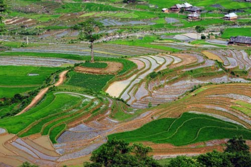 Tây Bắc mùa nước đổ, Du lịch, Tay bac, dia danh dep, du lich, du lich the gioi, canh dep, phong canh dep, anh thien nhien, anh phong canh, wallpaper, hinh anh dep, bao, tin tuc, hinh dep