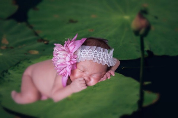 Lý Hải khoe bộ ảnh siêu đáng yêu của con gái 3 Lý Hải khoe bộ ảnh siêu đáng yêu của con gái 3