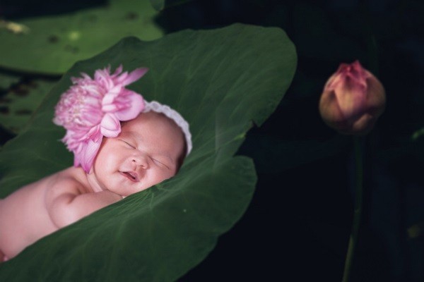 Lý Hải khoe bộ ảnh siêu đáng yêu của con gái 4 Lý Hải khoe bộ ảnh siêu đáng yêu của con gái 4