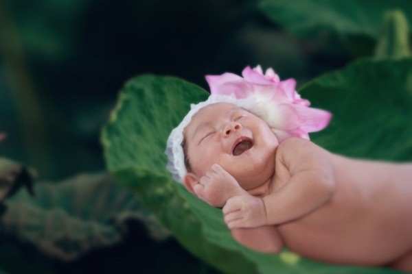 Lý Hải khoe bộ ảnh siêu đáng yêu của con gái 6 Lý Hải khoe bộ ảnh siêu đáng yêu của con gái 6