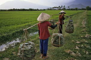 Hai nông dân trò chuyện bên ruộng lúa.
AFP photo