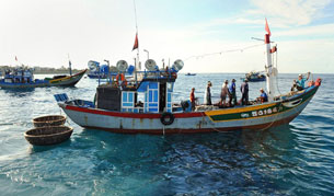 Tàu cá Việt Nam kéo theo một số thuyền thúng dùng để câu mực . AFP