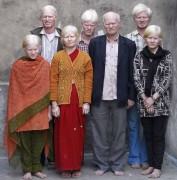 dai-gia-dinh-bach-tang-lon-nhat-the-gioi-image