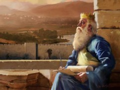wisesolomon-2