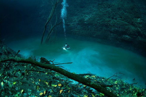 Bí ẩn dòng sông ngầm dưới đáy biển - 2