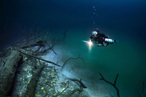Bí ẩn dòng sông ngầm dưới đáy biển - 4