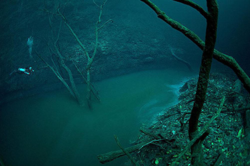 Bí ẩn dòng sông ngầm dưới đáy biển - 5