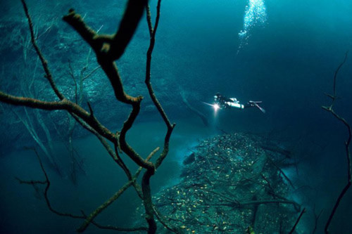 Bí ẩn dòng sông ngầm dưới đáy biển - 6