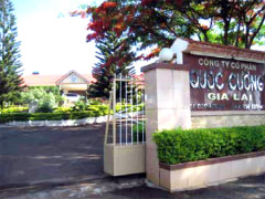 quoc cuong gia lai