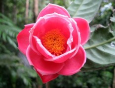 5Tim_th01