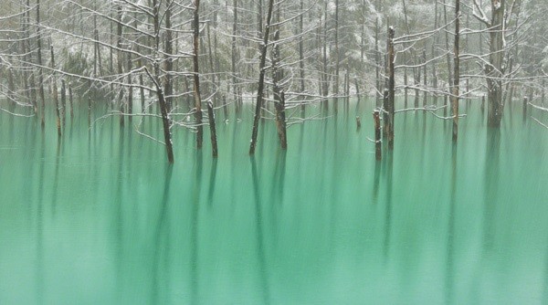 Bí ẩn khiến các hồ nước có "khả năng" tự đổi màu tuyệt đẹp 2