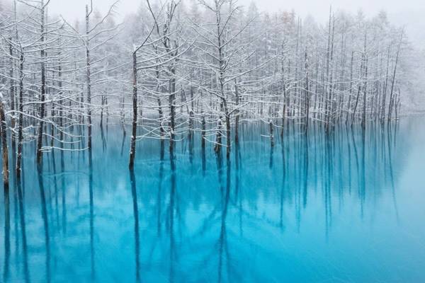 Bí ẩn khiến các hồ nước có "khả năng" tự đổi màu tuyệt đẹp 3