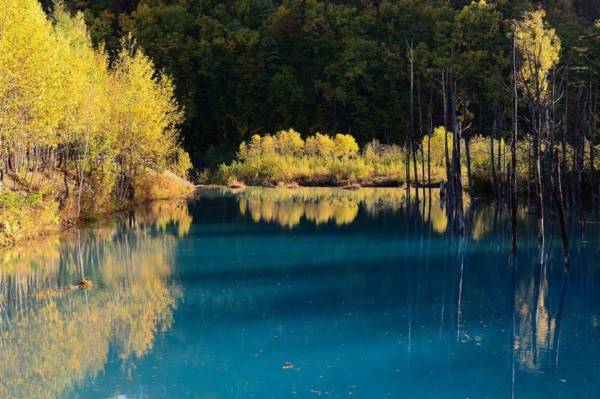 Bí ẩn khiến các hồ nước có "khả năng" tự đổi màu tuyệt đẹp 4