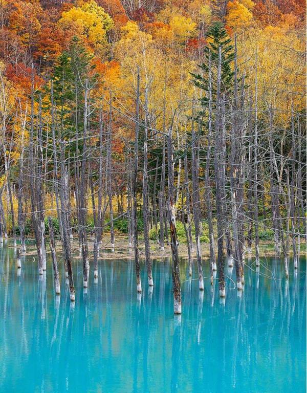 Bí ẩn khiến các hồ nước có "khả năng" tự đổi màu tuyệt đẹp 5