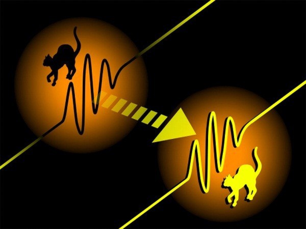 Bí ẩn người đàn ông di chuyển 17 nghìn km chỉ sau một giấc ngủ 7 Bí ẩn người đàn ông di chuyển 17 nghìn km chỉ sau một giấc ngủ 7
