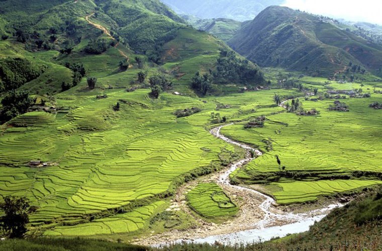 sapa