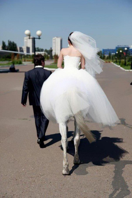 Cô dâu… chân ngựa