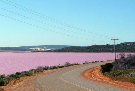 Những hồ nước màu hồng đẹp nhất thế giới