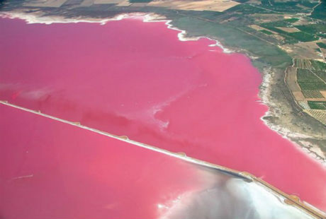 Những hồ nước màu hồng đẹp nhất thế giới
