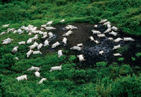 Bí ẩn "đám mây giết chết nghìn người" giữa hồ nước 3 Bí ẩn "đám mây giết chết nghìn người" giữa hồ nước 3