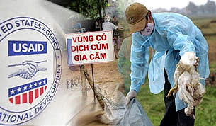 Cơ quan Phát Triển Quốc tế Hoa Kỳ, USAID hỗ trợ phòng chống cúm gia cầm tại Việt Nam (minh họa)