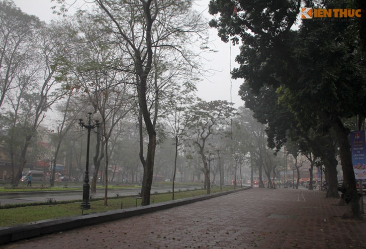 Tuy nhiên, tại một số điểm, sương mù cũng tạo nên những cảnh tượng thú vị. Ảnh: Hàng cây trên phố Phan Đình Phùng mờ ảo trong sương sớm.