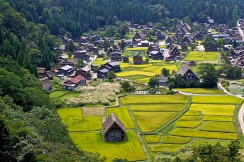 Độc đáo hai ngôi làng cổ Nhật Bản - 2