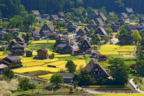 Độc đáo hai ngôi làng cổ Nhật Bản - 4