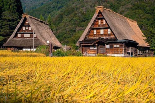 Độc đáo hai ngôi làng cổ Nhật Bản - 8