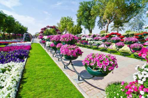 Sững sờ vẻ đẹp của vườn hoa lớn nhất thế giới - 11
