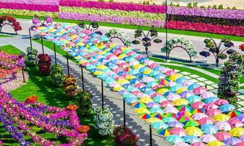 Sững sờ vẻ đẹp của vườn hoa lớn nhất thế giới - 3