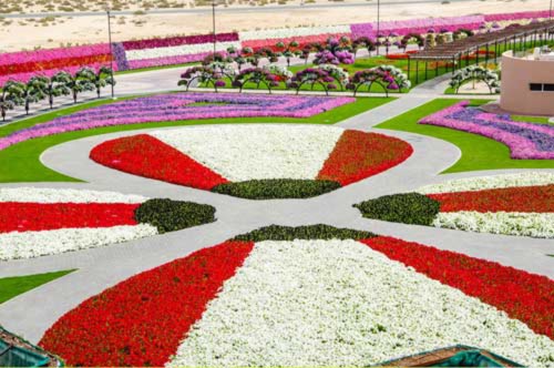 Sững sờ vẻ đẹp của vườn hoa lớn nhất thế giới - 8
