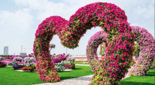 Sững sờ vẻ đẹp của vườn hoa lớn nhất thế giới - 9