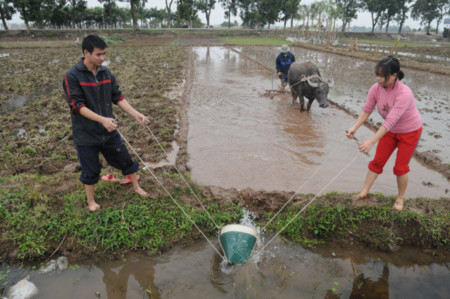 Thực hiện dồn điền đổi thửa cần phải đảm bảo nguyên tắc công khai, dân chủ, có sự đồng thuận của nhân dân. Thực hiện dồn điền đổi thửa cần phải đảm bảo nguyên tắc công khai, dân chủ, có sự đồng thuận của nhân dân.