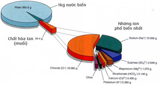 Tại sao nước biển lại mặn?