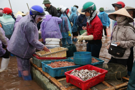 Hải sản ở bến Giao Hải chủ yếu là các loại mực, tôm biển, ghẹ, bề bề, cá bơn, cá đuối,...