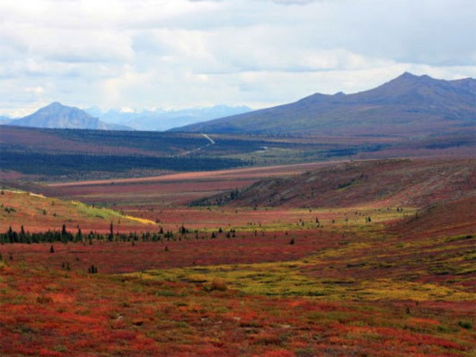 Thấy đài nguyên hàng triệu năm tuổi dưới dải băng Greenland