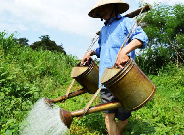 Những người Hoa đang sinh sống tại Đăk Lăk mong mỏi chính phủ Trung Quốc rút ngay giàn khoan HD 981 để giữ tình hòa hảo, cho người dân hai nước được sinh sống trong hòa bình. Những người Hoa đang sinh sống tại Đăk Lăk mong mỏi chính phủ Trung Quốc rút ngay giàn khoan HD 981 để giữ tình hòa hảo, cho người dân hai nước được sinh sống trong hòa bình.