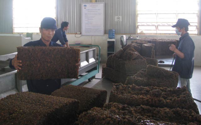 Chế biến cao su ở Nhà máy Cao su của Tập đoàn Hoàng Anh Gia Lai tại Attapeu (Lào). Chế biến cao su ở Nhà máy Cao su của Tập đoàn Hoàng Anh Gia Lai tại Attapeu (Lào).