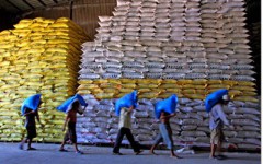 Chạy theo số lượng, xuất khẩu gạo Việt Nam vẫn bị lệ thuộc vào Trung Quốc. Ảnh danviet.vn