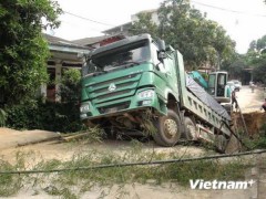 Ảnh minh họa