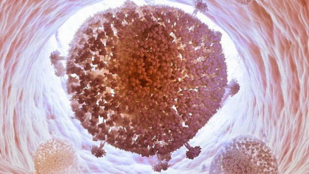Loại bỏ thành công virút HIV khỏi tế bào người