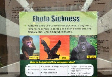 Hôm thứ hai ngày 4 tháng 8, chính quyền Nigeria đã xác nhận trường hợp nhiễm Ebola thứ hai tại đất nước đông dân nhất Châu Phi, đây là một bước lùi đáng báo động vì các chính quyền trong khu vực đang chiến đấu nhằm ngăn chặn sự lây lan của căn bệnh đã làm 700 người thiệt mạng.(Ảnh: nigerreporters.com)