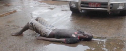 Ebola, đại dịch, dịch bệnh, WHO Ebola, đại dịch, dịch bệnh, WHO