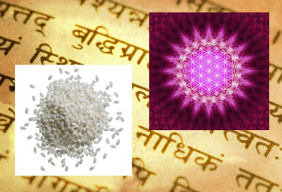 Ảnh một cuốn Sanskrit (Maxim Krasnov/Hemera/Thinkstock, hiệu ứng thêm vào bởi Epoch Times); Ảnh trừu tượng về “bông hoa của sự sống” (Tschitscherin/iStock/Thinkstock)