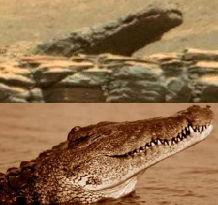 Cá sấu đã di cư lên sống trên sao Hỏa?