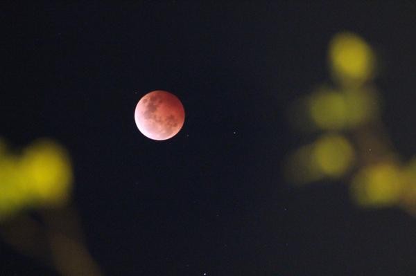 “Mặt trăng máu” chụp tại Sydney.